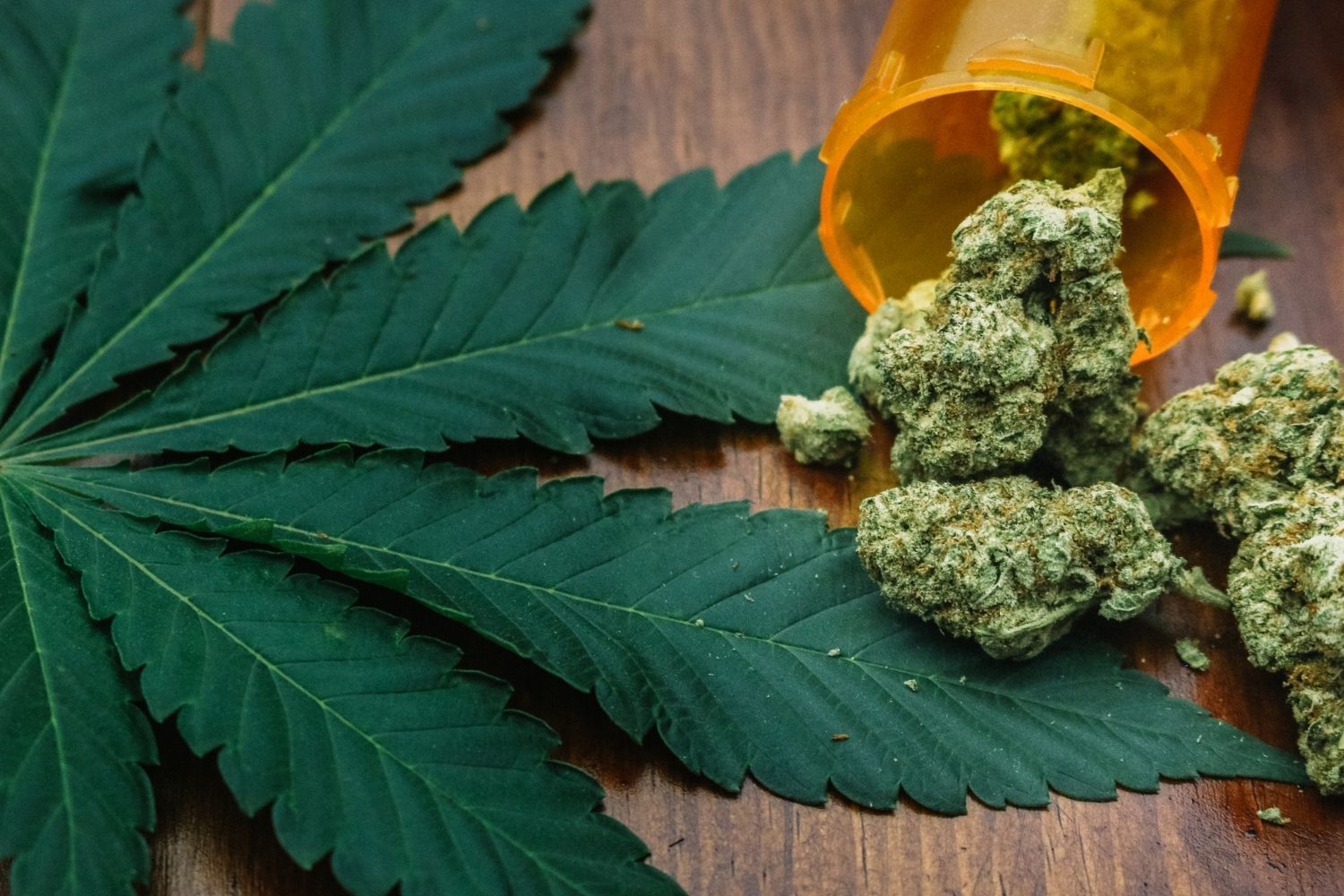 marihuana a padaczka - leczenie cbd i marihuaną epilepsji