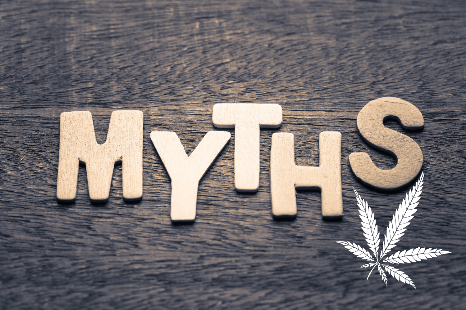 mity o medycznej marihuanie